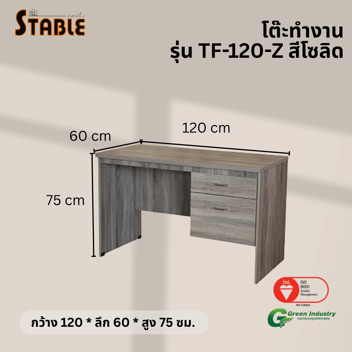 โต๊ะทำงานไม้ STABLE รุ่น TF-120-Z 120 ซม. สีโซลิด_2